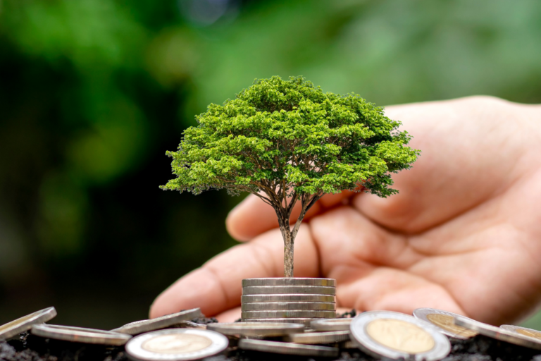 FAYGO Africa team performing environmental monitoring